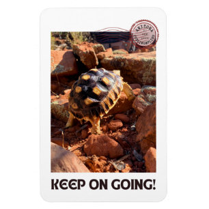 Baby Sulcata-vandring i Sedona Red Sten Arizona Magnet