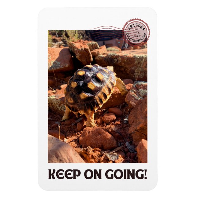 Baby Sulcata-vandring i Sedona Red Sten Arizona Magnet (Vertikal)