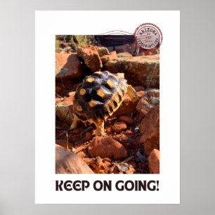 Baby Sulcata-vandring i Sedona Red Sten Arizona Poster