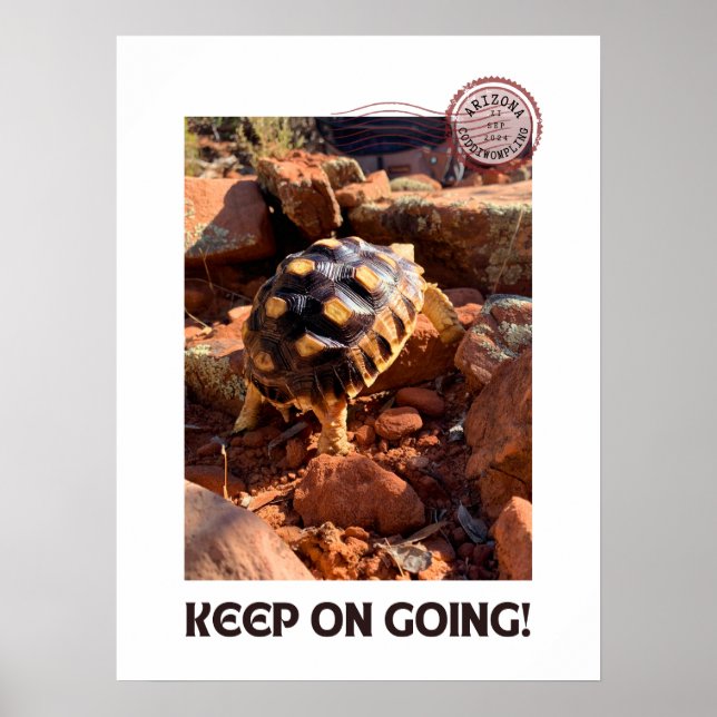 Baby Sulcata-vandring i Sedona Red Sten Arizona Poster (Framsidan)