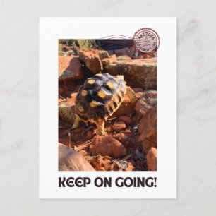 Baby Sulcata-vandring i Sedona Red Sten Arizona Vykort