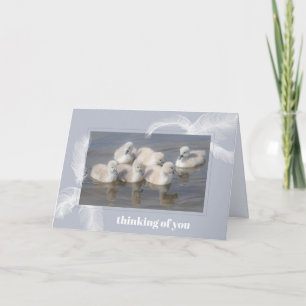 Baby Svanar & Feathers Blank Foleting Card Kort