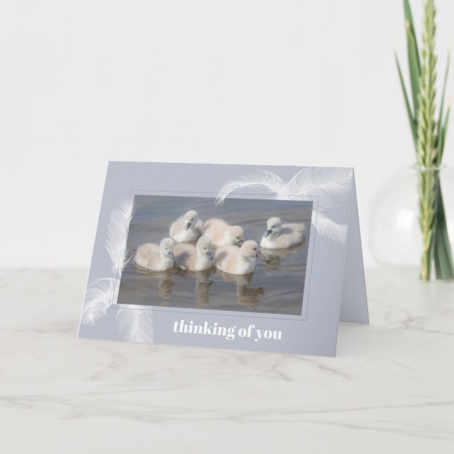 Baby Svanar & Feathers Blank Foleting Card Kort (Framsida)