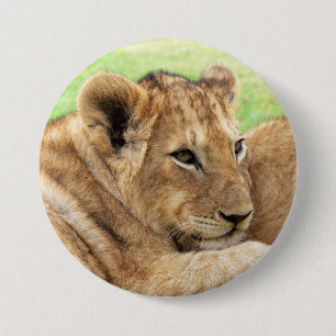 Baby Tiger-knappar Knapp