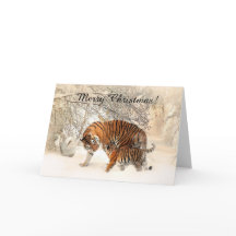 Baby tiger och Tiger mamma i en snöskog