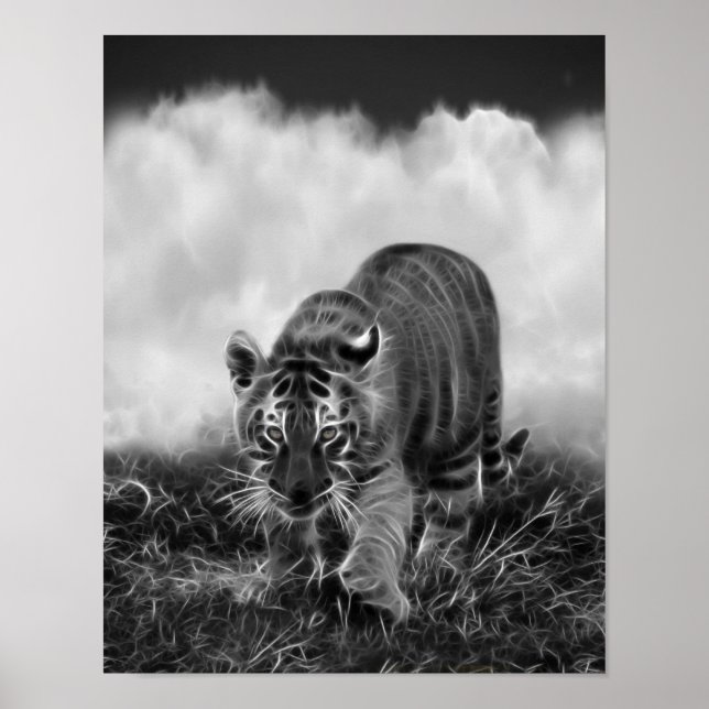 Baby Tiger stalking in Black and white Poster (Framsidan)