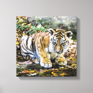 Baby Tiger Unge Canvastryck