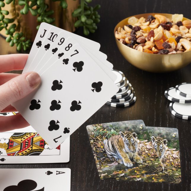 Baby Tiger Unge Casinokort (På plats)