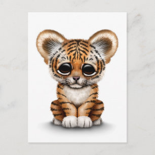 Baby Tiger Unge på White Vykort