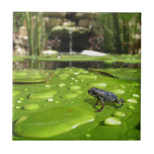 Baby Toad i Pond Kakelplatta