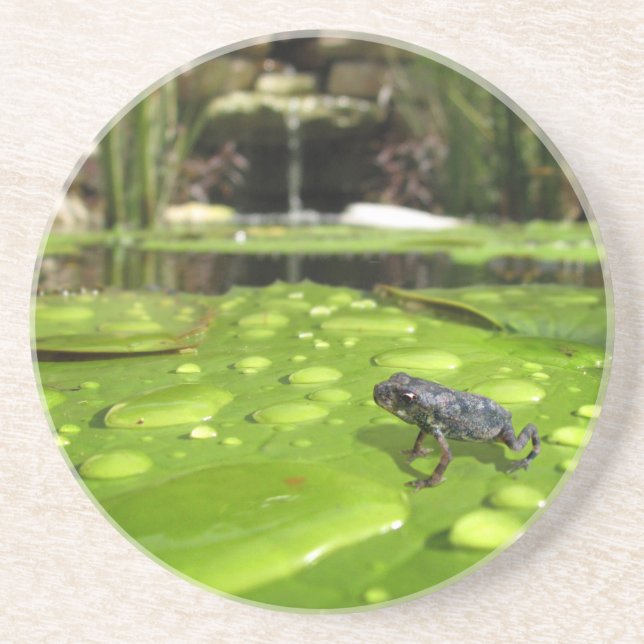 Baby Toad i Pond Underlägg (Framsidan)
