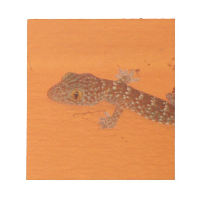 Baby TOK Gecko Anteckningsblock (Framsida)