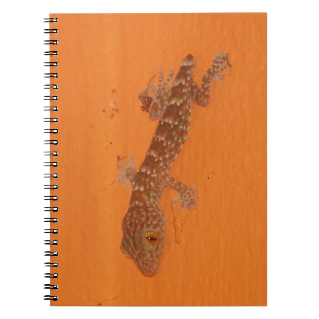 Baby TOK Gecko Anteckningsbok Med Spiral (Framsidan)