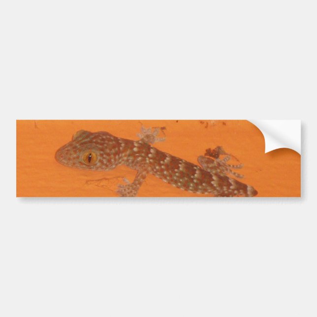 Baby TOK Gecko Bildekal (Framsidan)