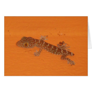 Baby TOK Gecko Card Hälsningskort