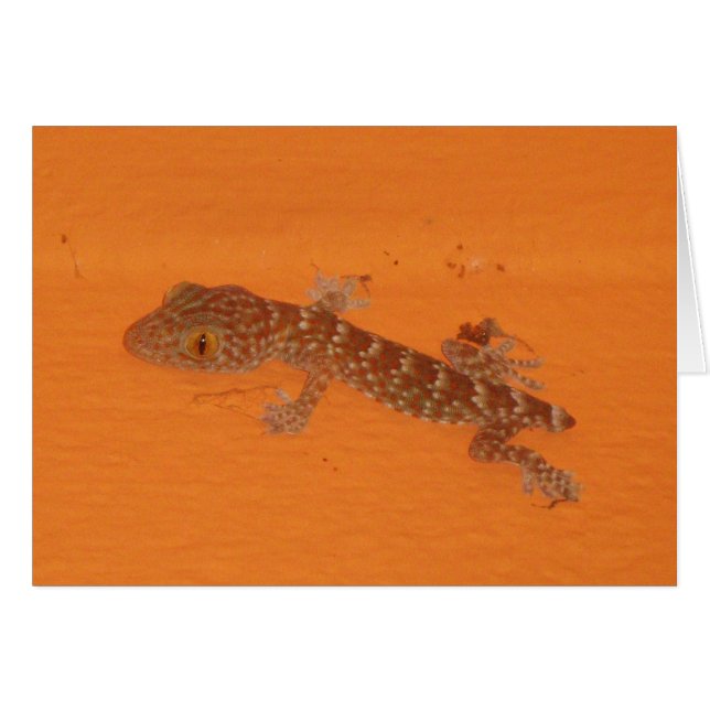 Baby TOK Gecko Card Hälsningskort (Framsidan Horizontal)