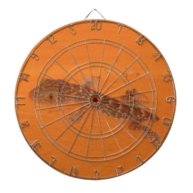 Baby TOK Gecko Darttavla (Framsidan)