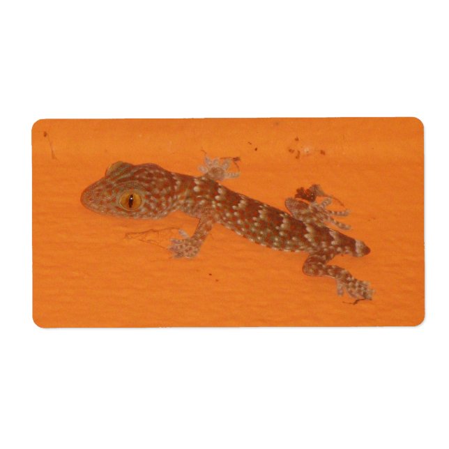 Baby TOK Gecko Fraktsedel (Framsidan)