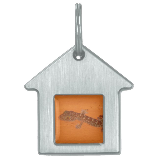 Baby TOK Gecko ID-bricka Husdjur (Framsidan)