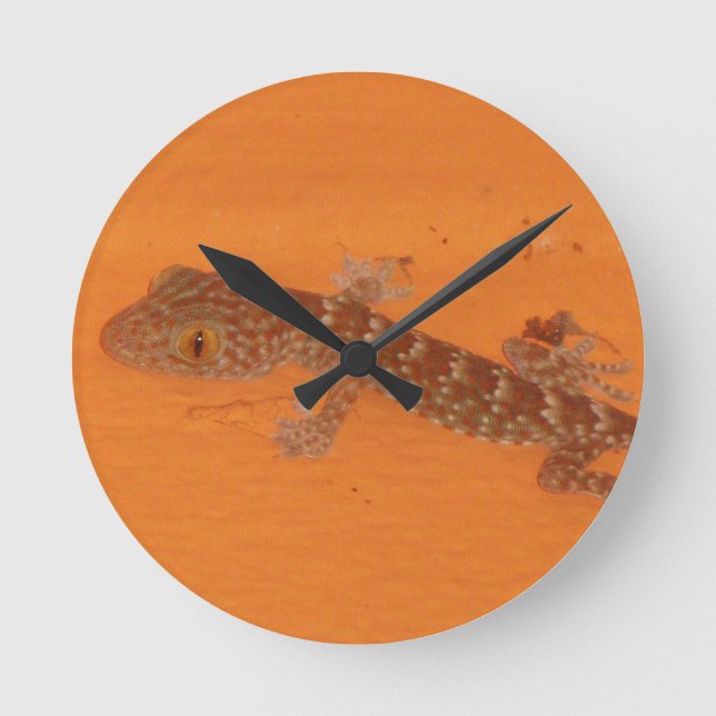 Baby TOK Gecko Rund Klocka (Framsida)