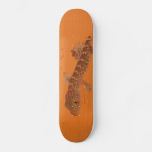 Baby TOK Gecko Skateboard Bräda 20 Cm