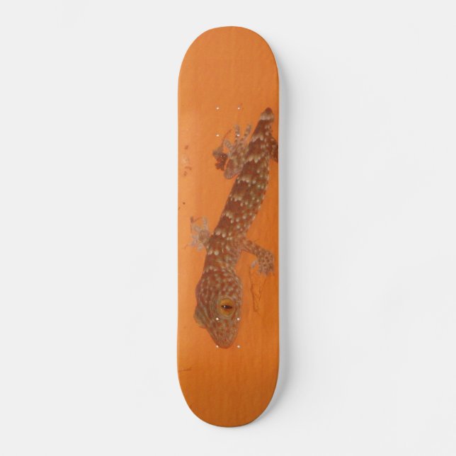 Baby TOK Gecko Skateboard Bräda 20 Cm (Framsida)