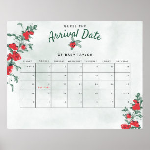 Baby Tomato Rustic Girl Baby Shower Gissa datum Poster