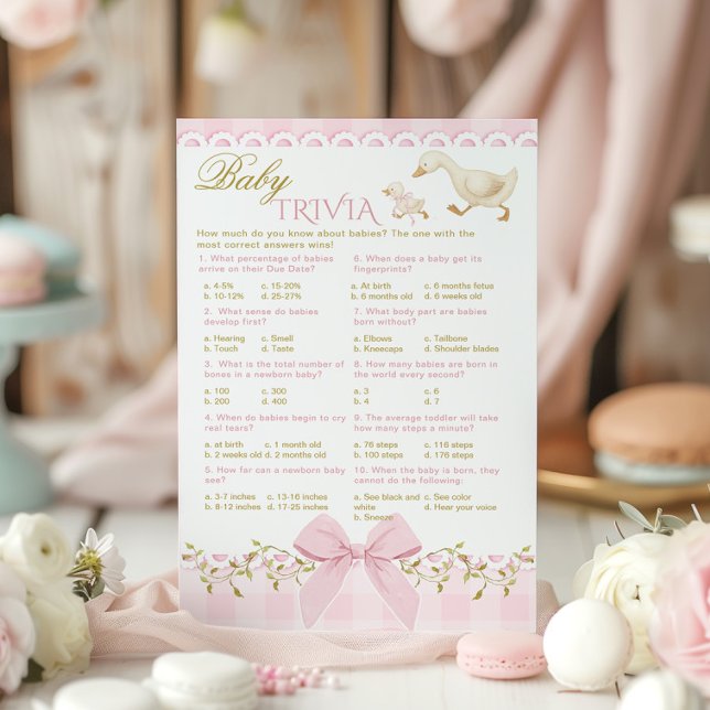 Baby Trivia Silly Goose Pink Gingham Baby Shower (Skapare uppladdad)