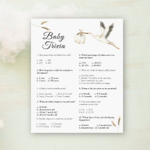 Baby Trivia - Stork Baby Shower-spel