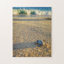 Baby Turtle som vandrar till havet i Los Cabos Pussel