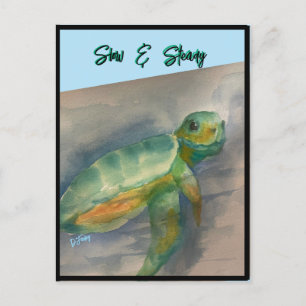 Baby Turtle-vykort Vykort
