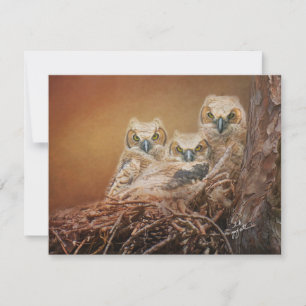 Baby Underbar Uggla Wildlife Photography Anteckningskort