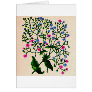 baby utandgypsophila hälsningskort