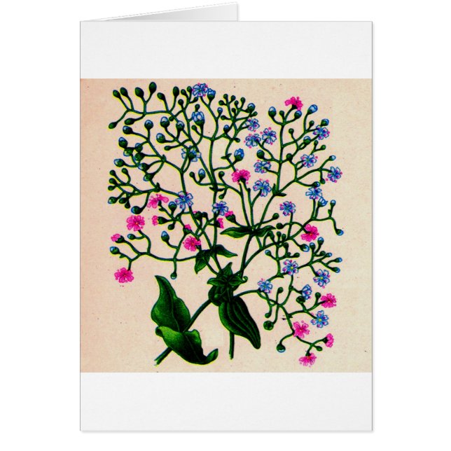 baby utandgypsophila hälsningskort (Framsidan)