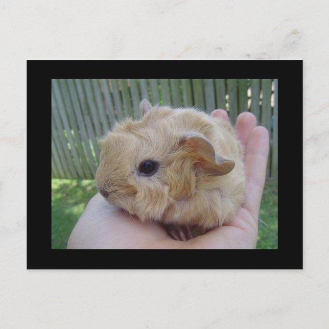 baby vykort (Framsida)