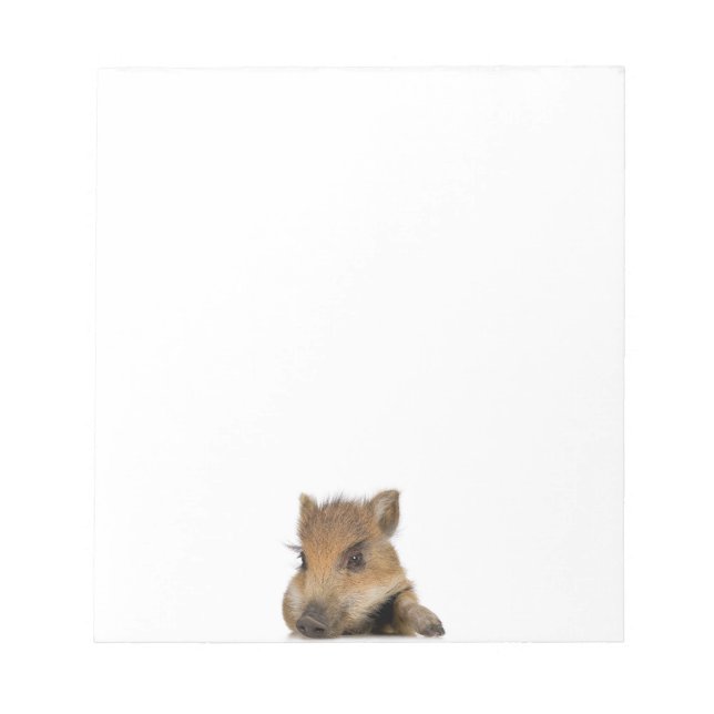 Baby Warthog Anteckningsblock (Framsida)