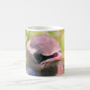 Baby Waxwing Bird Ansikte Nature Personlig Kaffemugg