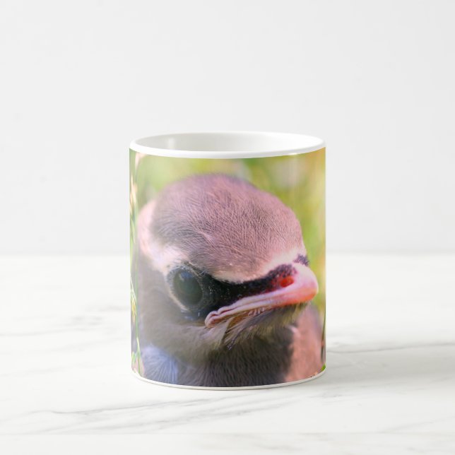 Baby Waxwing Bird Ansikte Nature Personlig Kaffemugg (Center)