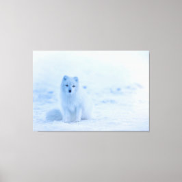 Baby White Artic Fox i Snö Canvastryck
