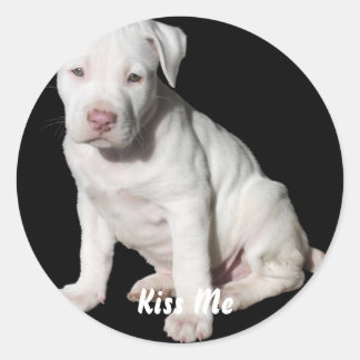 Baby White Pitbull Puppy Runt Klistermärke