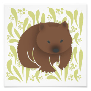 Baby Wombat på Olive Fototryck