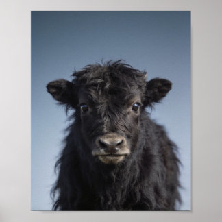 Baby Yak Porträtt – Söt Nursery Djur Väggkonst