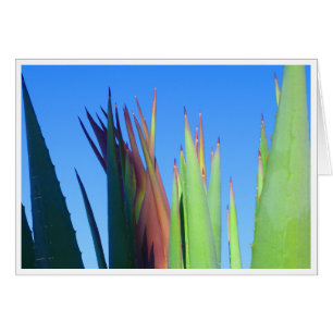 Baby Yucca Stalk Hälsningskort