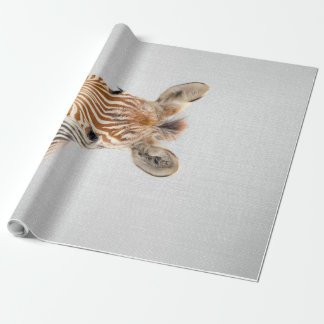 Baby Zebra Colorful Canvas Presentpapper