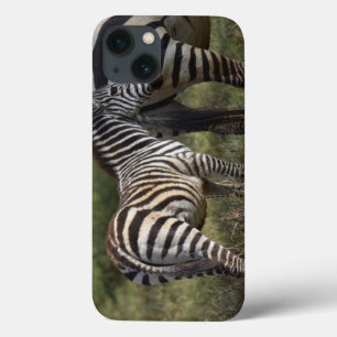 Baby Zebra iPad Mini fodral