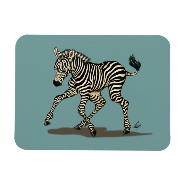 Baby zebra på blå bakgrund magnet (Horisontell)
