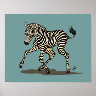 Baby zebra på blå bakgrund poster