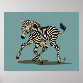 Baby zebra på blå bakgrund poster
