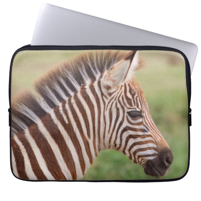 Baby zebra, Tanzania Laptop Fodral (Framsidan)