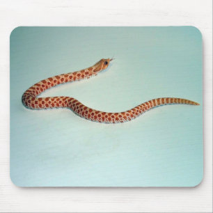 BabyAlbinoHognose orm Mousepad Musmatta
